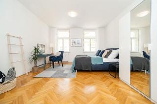 Central Bright and Spacious Appt - Prague - 4