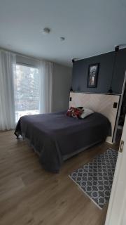 Villa Snowy Owl - 2