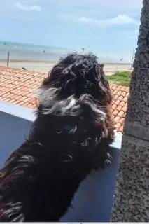 Casa de Praia, na beira da praia - 3