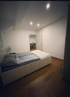Sandra apartmani 4 - Vršac - 7