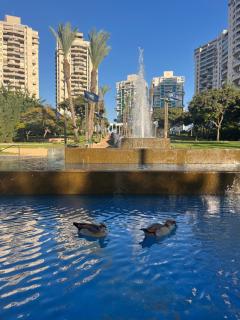 A cozy room in apartment the central thriving area next to Shiba & Bar Ilan - 7