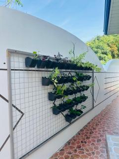 Rivero Transient House - San Fernando - 3