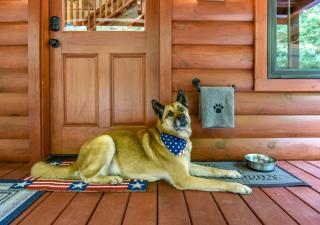 Veteran Host Pets Allowed Sleeps 4 No Minimum Nights - 7