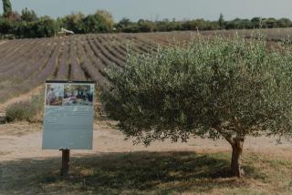 TERRE UGO - Studio campagne Aixoise #5 - Aix-en-Provence - 4