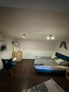 Apartment Viol - Novi Sad - 1