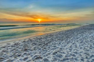 Tidewater Beach Resort 1606 - Panama City Beach - 6