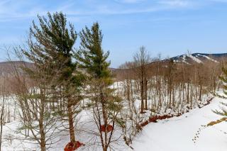 Mountain Green: 2E2 - 3