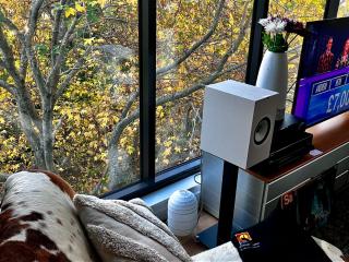 Central Auckland condo, 2Br, 2Brm, pool, gym, study - Auckland - 1