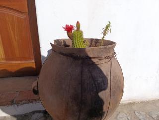 Cabaña el coquena - Cachí - 1