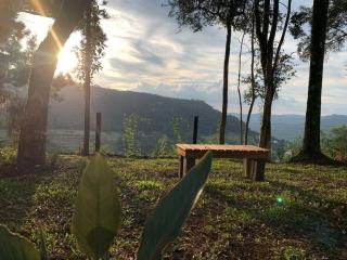 Chalé dos Plátanos, com banheira, Nova Petrópolis - Nova Petrópolis - 6