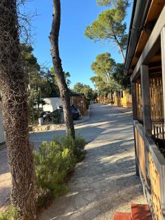 Mobile home Maris - Biograd na Moru - 2