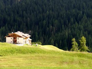 Apartments Serghela - San Cassiano - 8