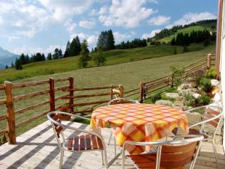 Apartments Serghela - San Cassiano - 2