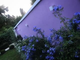 Apartman BAHUS Vrdnik - Vrdnik - 8