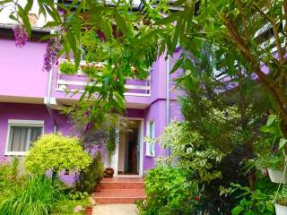 Apartman BAHUS Vrdnik - 7