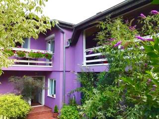 Apartman BAHUS Vrdnik - Vrdnik - 6