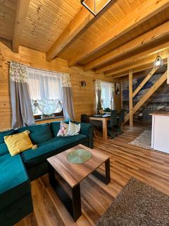 Motylowe Wzgórze Zawóz Bieszczady - Zawóz - 1