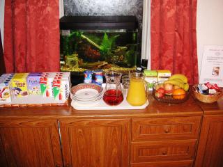 Ty Newydd Guest House - Trefriw - 4