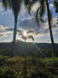 Chalé dos Coqueiros em Nova Petrópolis - 2
