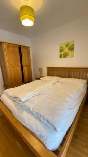 Isabella 4 by SMR Rauris Apartments - inc Spa and near Gondola - Rauris - 5