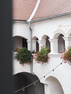 Vierzigerhof - Langenlois - 5