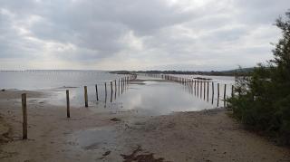 Studio Plage 200m Parking gratuit Port la Nouvelle - 7