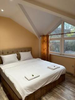 Center Apartments The Quiet Luxury 5 - Plovdiv - 1