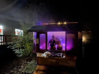 Hot Tub Stunning Mountain Views 2 kitchens 4 bedroom 2 bathroom - Anchorage - 7