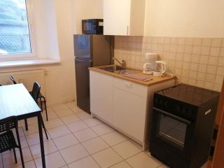 Apartment with 3 separate rooms near Leuna - Zeitz - 3