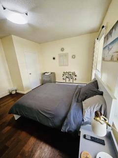 Nice room near Whole Foods, Brown University in a shared apartment 31 - Providence - 4