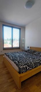Apartmán s terasou nad Rosničkou - Kamenný Mlýn - 2