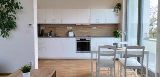 Apartmán s terasou nad Rosničkou - Kamenný Mlýn - 9