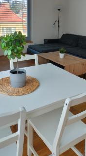 Apartmán s terasou nad Rosničkou - Kamenný Mlýn - 6