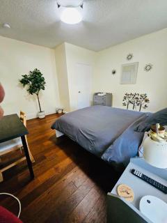 Nice room near Whole Foods, Brown University in a shared apartment 31 - Providence - 7