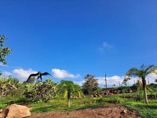 Rancho Cielito Lindo, casa campo con Alberca - 6