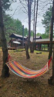 Leśna Osada Szegdy - 3