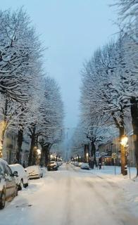 AU 47 ALLÉES D'ETIGNY - CENTRAL & STANDING - avec parking - Linge de lit et de toilette inclus - Bagnères-de-Luchon - 7