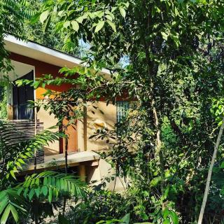 Canto de la Selva Jungle Lodge Selva Lacandona Chiapas - Galaxia - 3