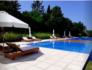 Terrazas de Villa Brava Punta del Este - Punta del Este - 8