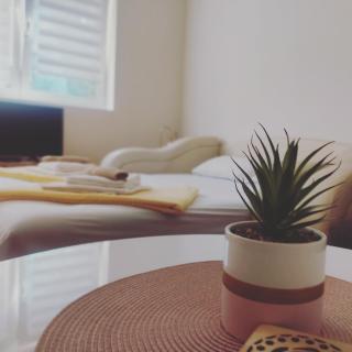 Apartman studio Jefimija - Vrnjačka Banja - 3