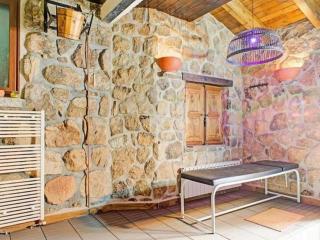 Rural apartment with direct access to the pool - Galapagar - 1