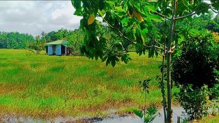 ARA Place - Boossa - Private Villa - Boossa - 5