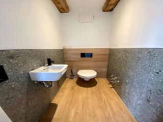 Apartment in Saalfelden near Ski Slopes - 3