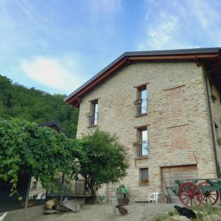 Il Tesoro di MiRo - - 8
