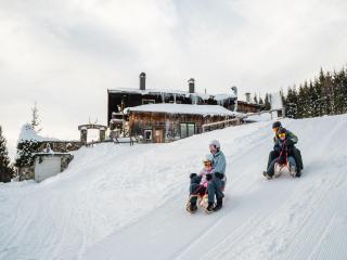 Apartment in Saalfelden near Ski Slopes - 7