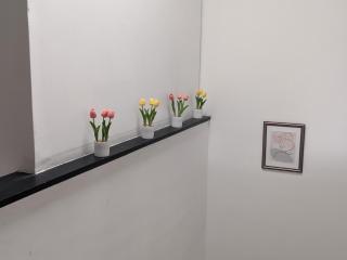 Habitación cerca al aeropuerto -normandia #2 - Bogotá - 6