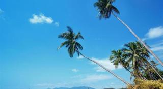 Sea Suite Villa - Chaweng - 6