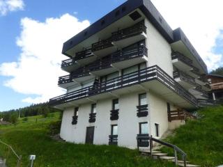 Studio cosy 17m² pour 2 pers. à Plan Peisey, animaux admis - FR-1-757-111 - 4