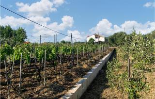 3 Bedroom Beautiful Home In Debeljak - Debeljak - 2