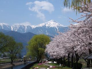 信州安曇野穂高温泉郷　旅館　山のたこ平 - 9